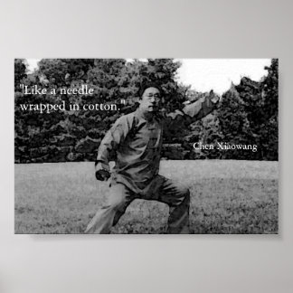 Póster Poster Taiji