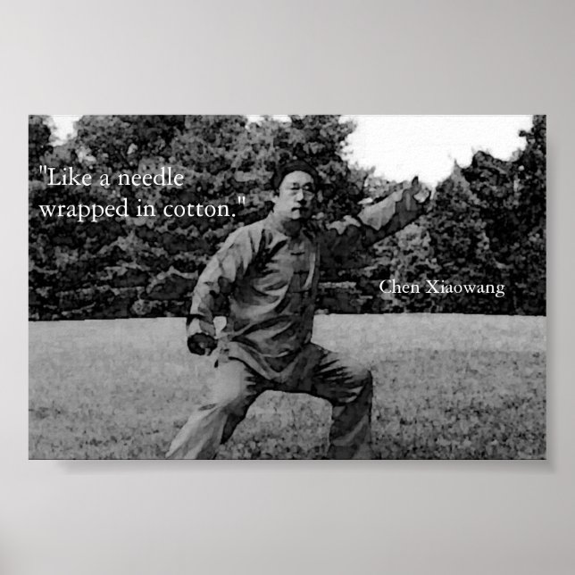 Póster Poster Taiji (Frente)