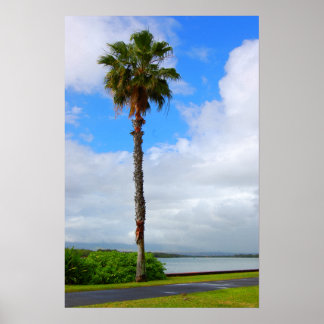 Póster poster "Talal Permanente"