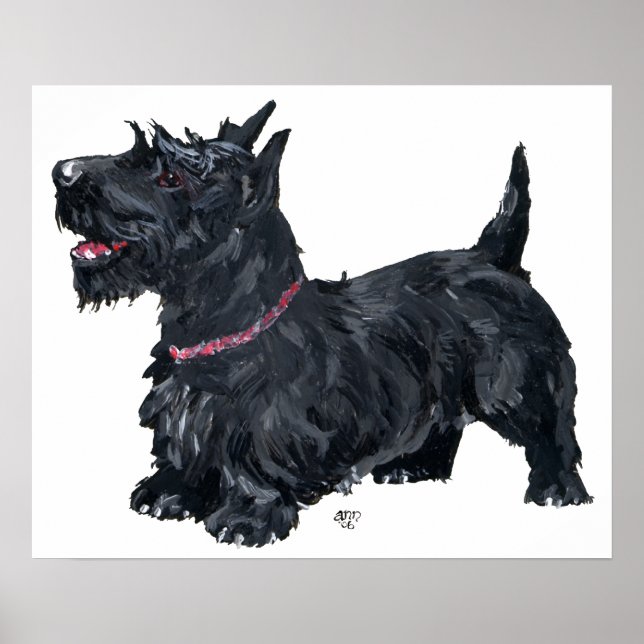 Póster Poster Terrier de Escocia (Frente)