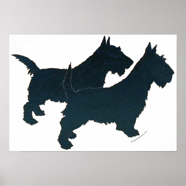 Póster Poster Terrier de Escocia (Frente)