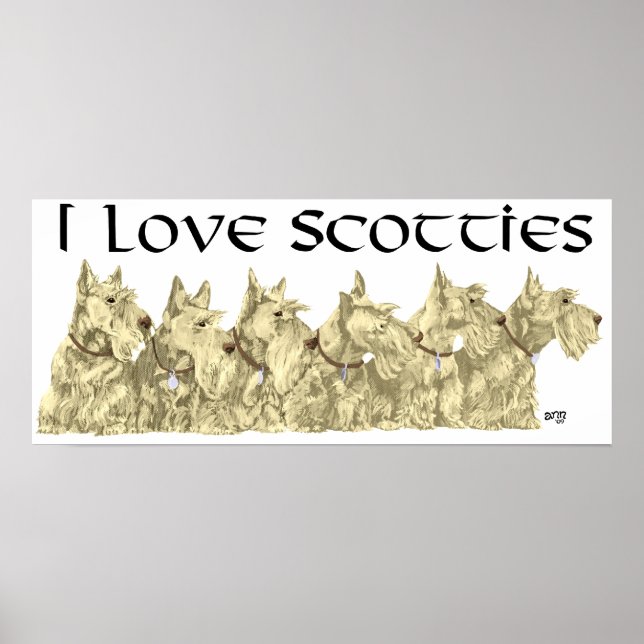 Póster Poster Terrier de Escocia (Frente)
