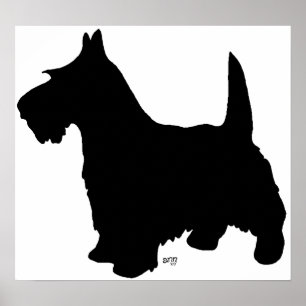Póster Poster Terrier de Escocia