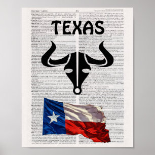 PÓSTER POSTER TEXAS