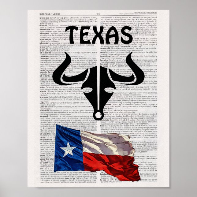 PÓSTER POSTER TEXAS (Frente)