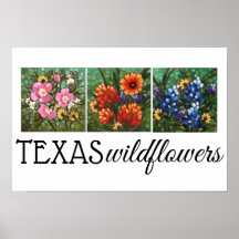 poster "Texas Wildflowers" 16,5" x 11"