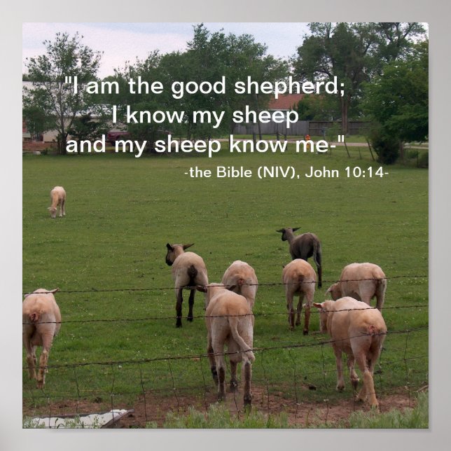 Póster Poster/The Good Shepherd (Frente)