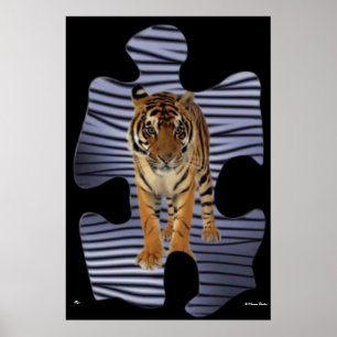 Póster Poster Tiger