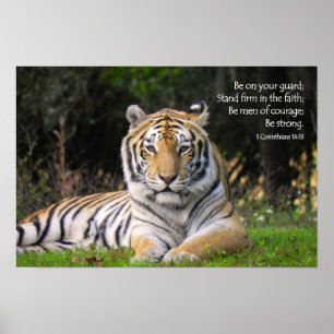 Póster Poster Tiger
