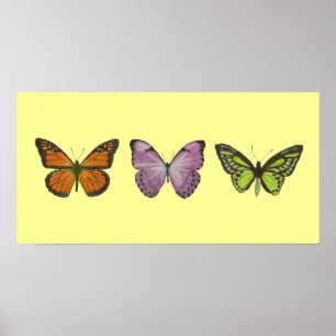 Póster Poster triple de la mariposa horizontal
