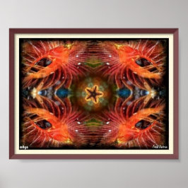 Póster Poster Trippy