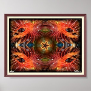 Póster Poster Trippy