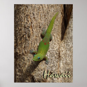 Póster Poster tropical al aire libre de gecko lindo en Ha