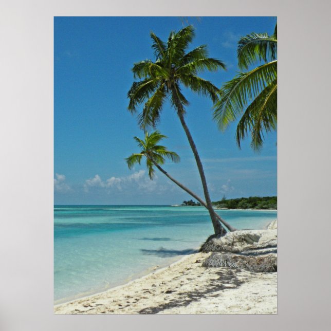 Póster Poster Tropical Beach (Frente)