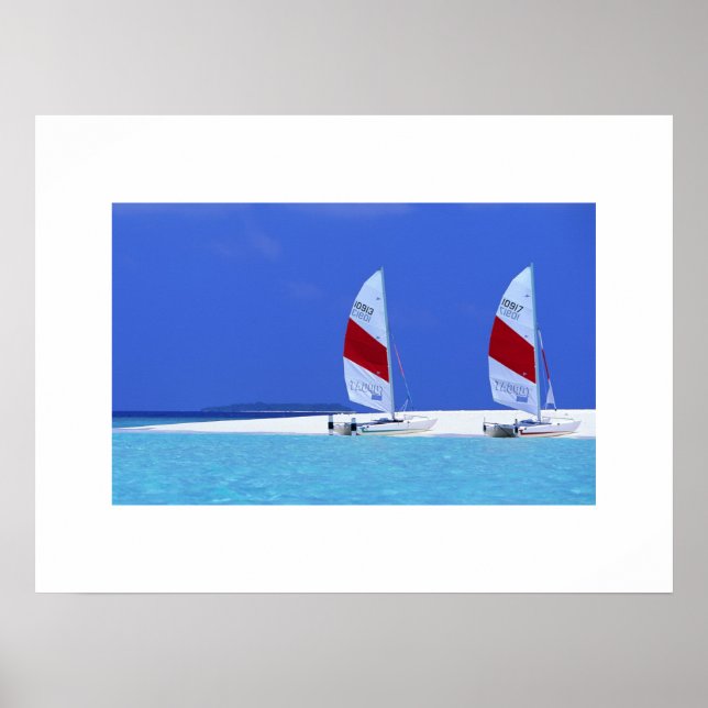 Póster Poster Tropical Beach Scene (Frente)