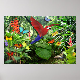 Póster Poster tropical de la selva tropical