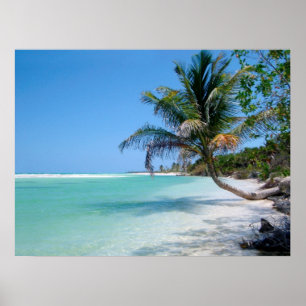 Póster poster tropical del cielo de la playa A PARTIR del