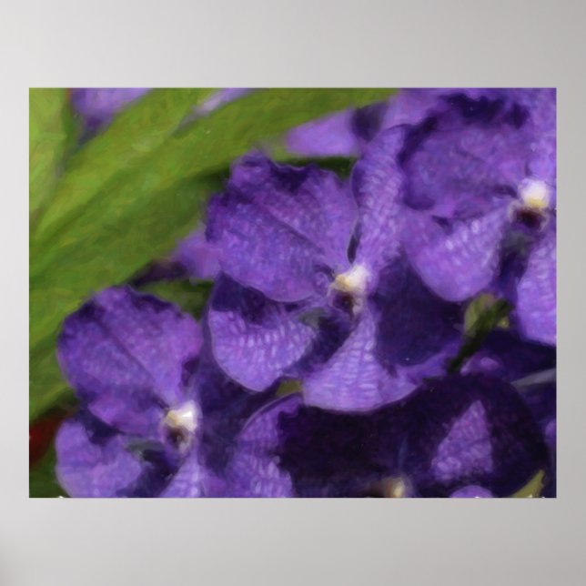 Póster Poster tropical hawaiano de la orquídea (Frente)