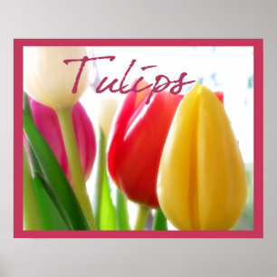 Póster Poster Tulip Colors