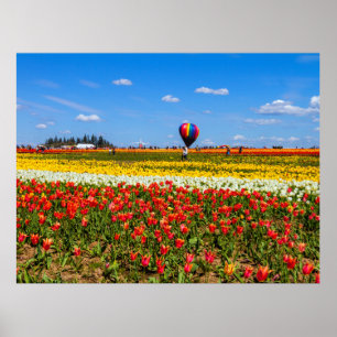 Póster Poster Tulips de primavera
