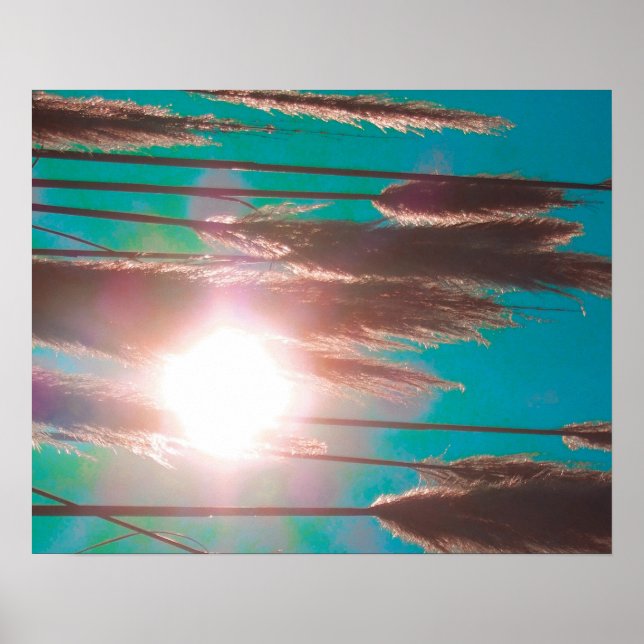 Póster Poster "TurquoiseMidday" (Frente)