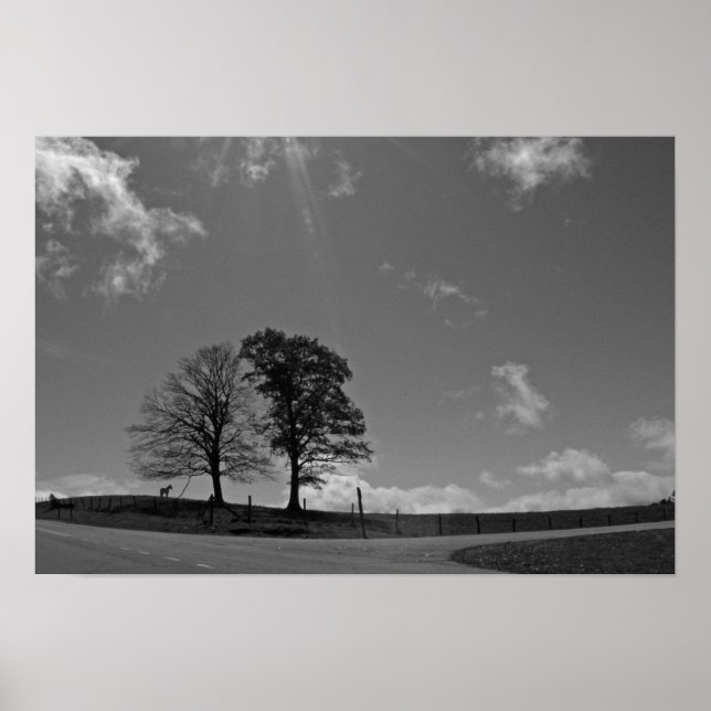 Póster Poster Twin Trees Mountain Meadow (Frente)