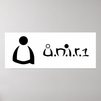 Póster poster u.n.i.r.1