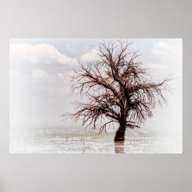 Póster Poster UN ÁRBOL ÚNICO EN UN JUEGO CON BOLSA (Frente)