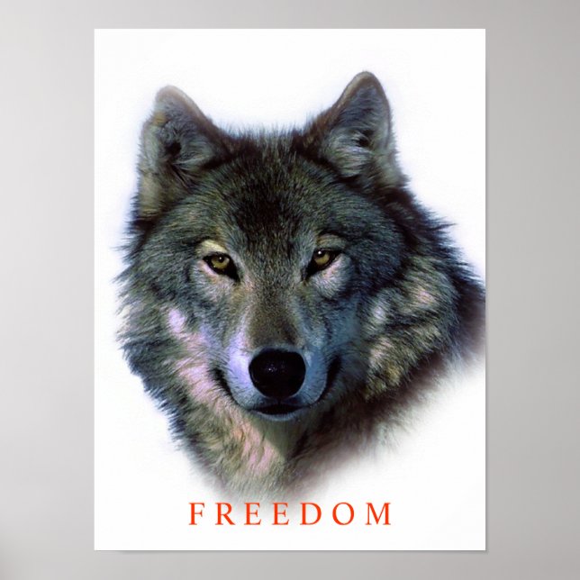 Póster Poster único de Lobo por la Libertad Motivadora (Frente)