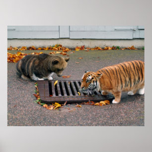 Póster Poster urbano del waterhole