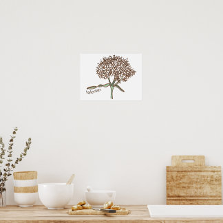 Póster Poster valeriano