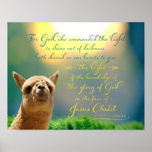 Póster Poster verde azulado de la cita de la biblia del