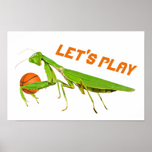 Póster Poster verde gigante del baloncesto de la mantis