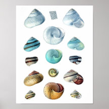 Poster Vintage blue Seashells