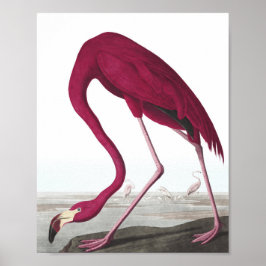 Póster Poster Vintage Flamingo