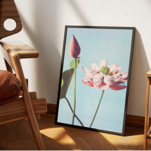 Póster Poster Vintage fleurs de lotus