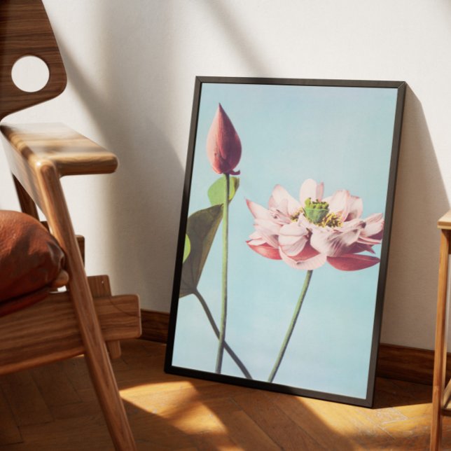 Póster Poster Vintage fleurs de lotus (Subido por el creador)