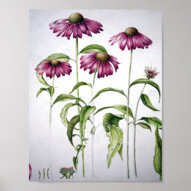 Póster Poster Vintage Floral (Frente)