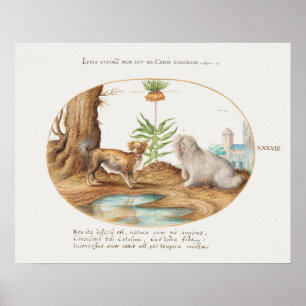 Póster Poster Vintage Pups