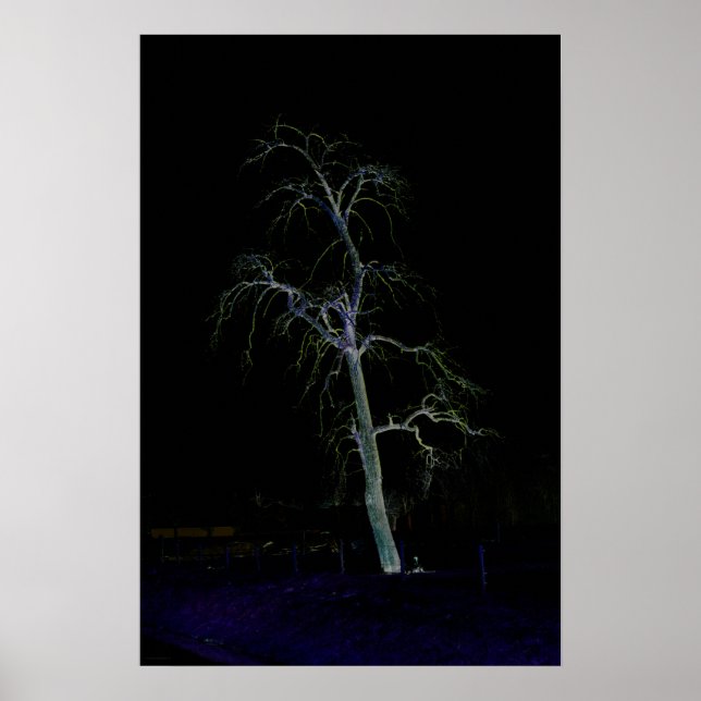 Póster Poster Wapcn del lado oscuro 8 (Frente)