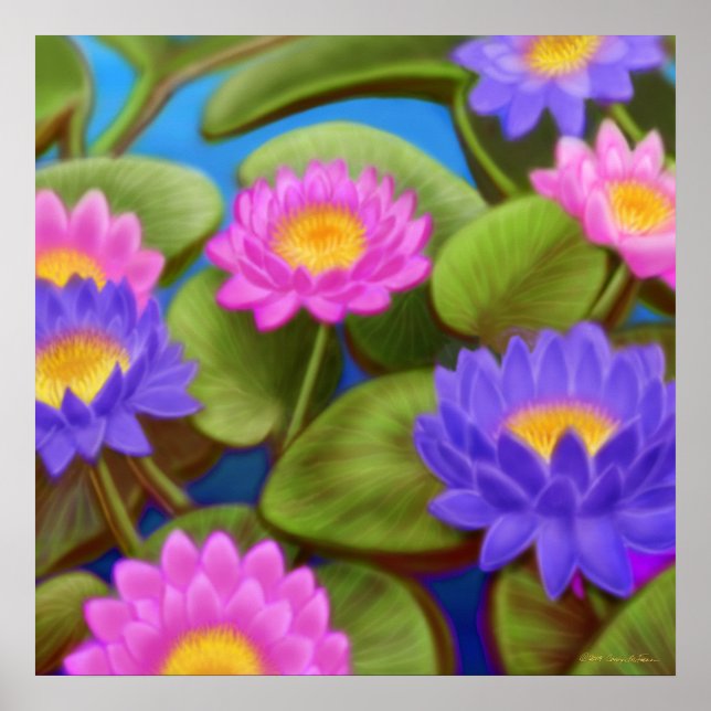 Póster Poster Waterlily Garden (Frente)