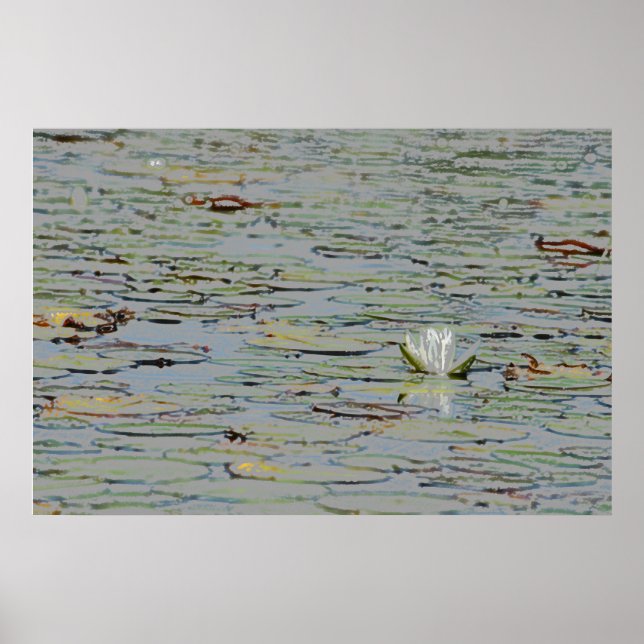 Póster Poster Waterlily Pond Lake Flower I (Frente)