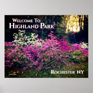 Póster Poster - Welcome to Highland Park Rochester NY