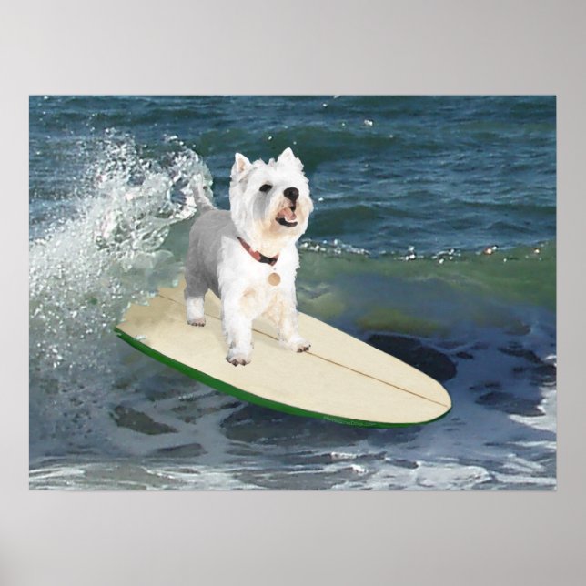 Póster Poster Westie Surfer (Frente)