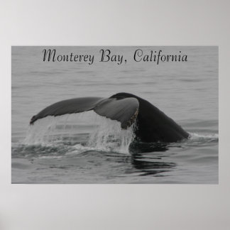 Póster Poster, Whale Fluke, Monterey