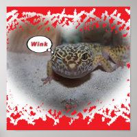 Poster Winking Leopard Gecko Lizard