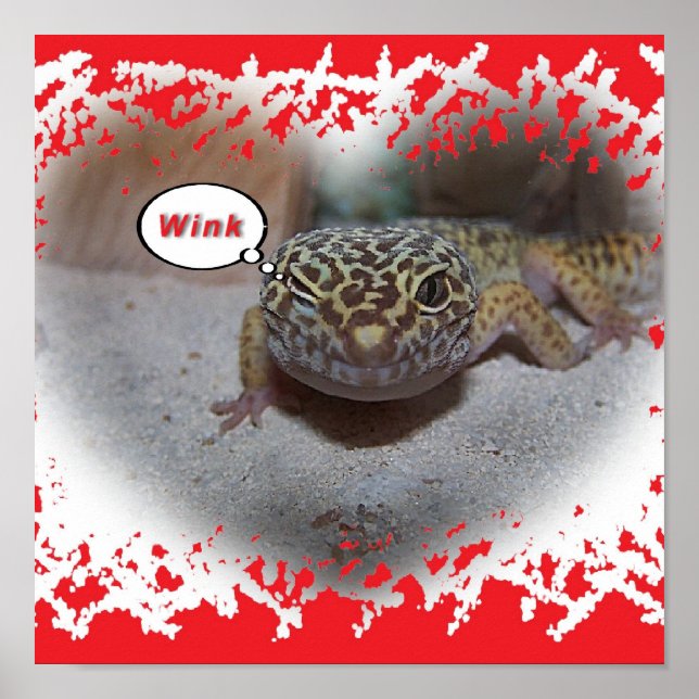 Póster Poster Winking Leopard Gecko Lizard (Frente)