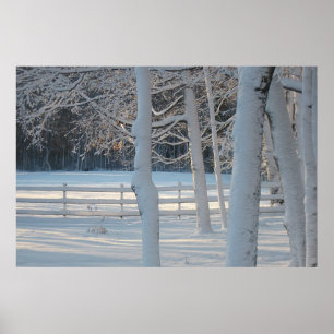 Póster Poster Winter Wonderland