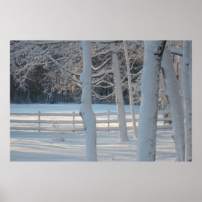 Póster Poster Winter Wonderland (Frente)