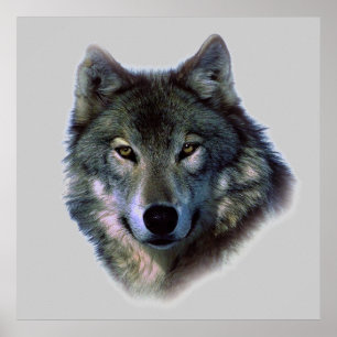 Póster Poster Wolf Eyes Imprimir